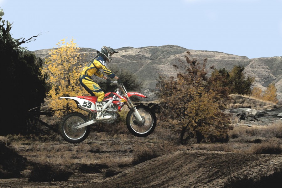 cole11-01-08 031abc[1]